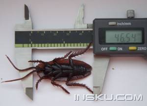 Practical Joke Fake Cockroach Toy - Brown (8 PCS)