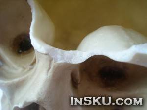Verisimilar Human Skull Skull Head Hallowmas Prop Gadget Display. Обзор на InSKU.com