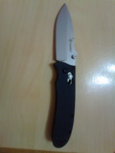 Складной нож Ganzo G-704. Обзор на InSKU.com